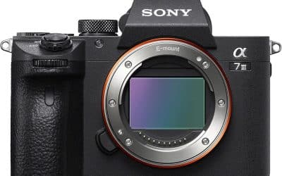 Test du Sony Alpha 7 III : hybride plein format puissant et rapide