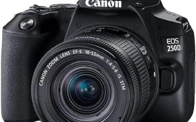 Test Canon EOS 250D : encore performant ?