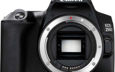 Test du Canon EOS 250D Body : encore pertinent ?