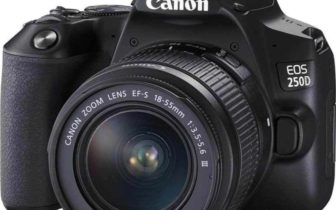 Test Canon EOS 250D + EF-S 18-55mm : un classique à redécouvrir