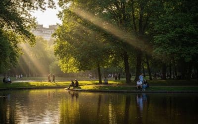 Comment gérer les photos contrastées ?
