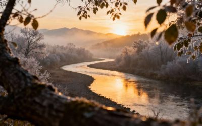 Citations inspirantes en photographie