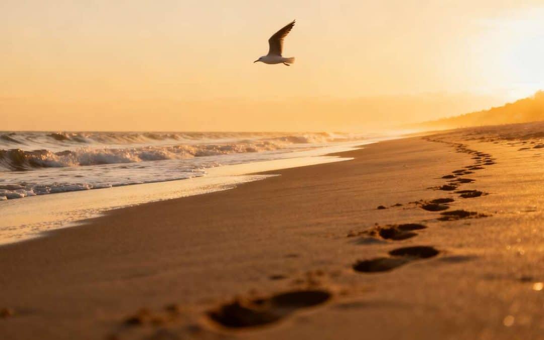 Comment créer des photos uniques ?