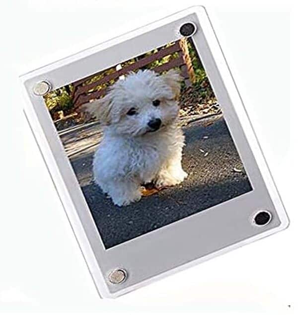 Découvrez le test complet de l'Instax Mini 12 lilas avec ses accessoires pour des souvenirs inoubliables. Guide détaillé et fonctionnalités à ne pas manquer.