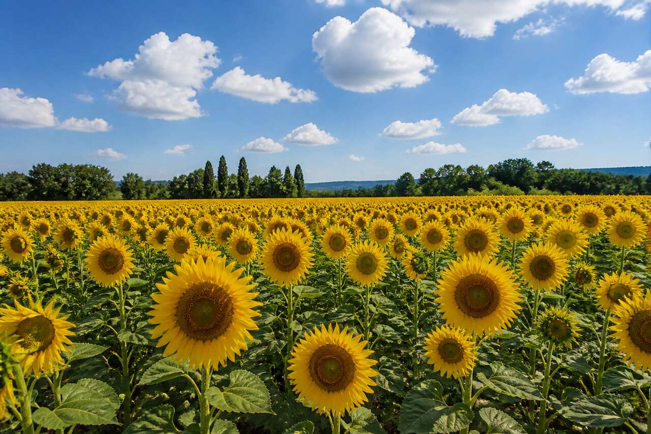Jouer avec la lumière et les ombres pour des effets créatifs Jouer avec la lumière et les ombres pour des effets créatifs