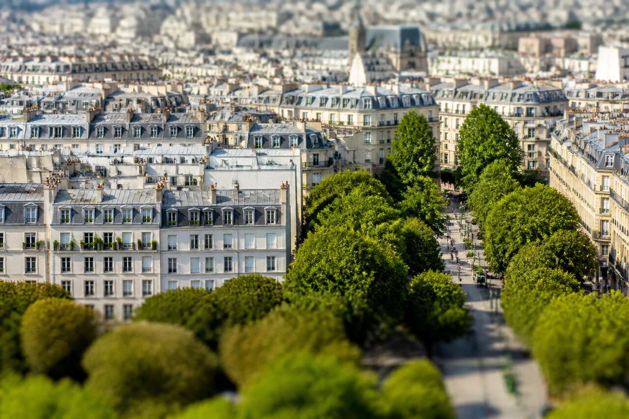 Choisir la bonne photo: cadrage, point de vue et sujets qui fonctionnent