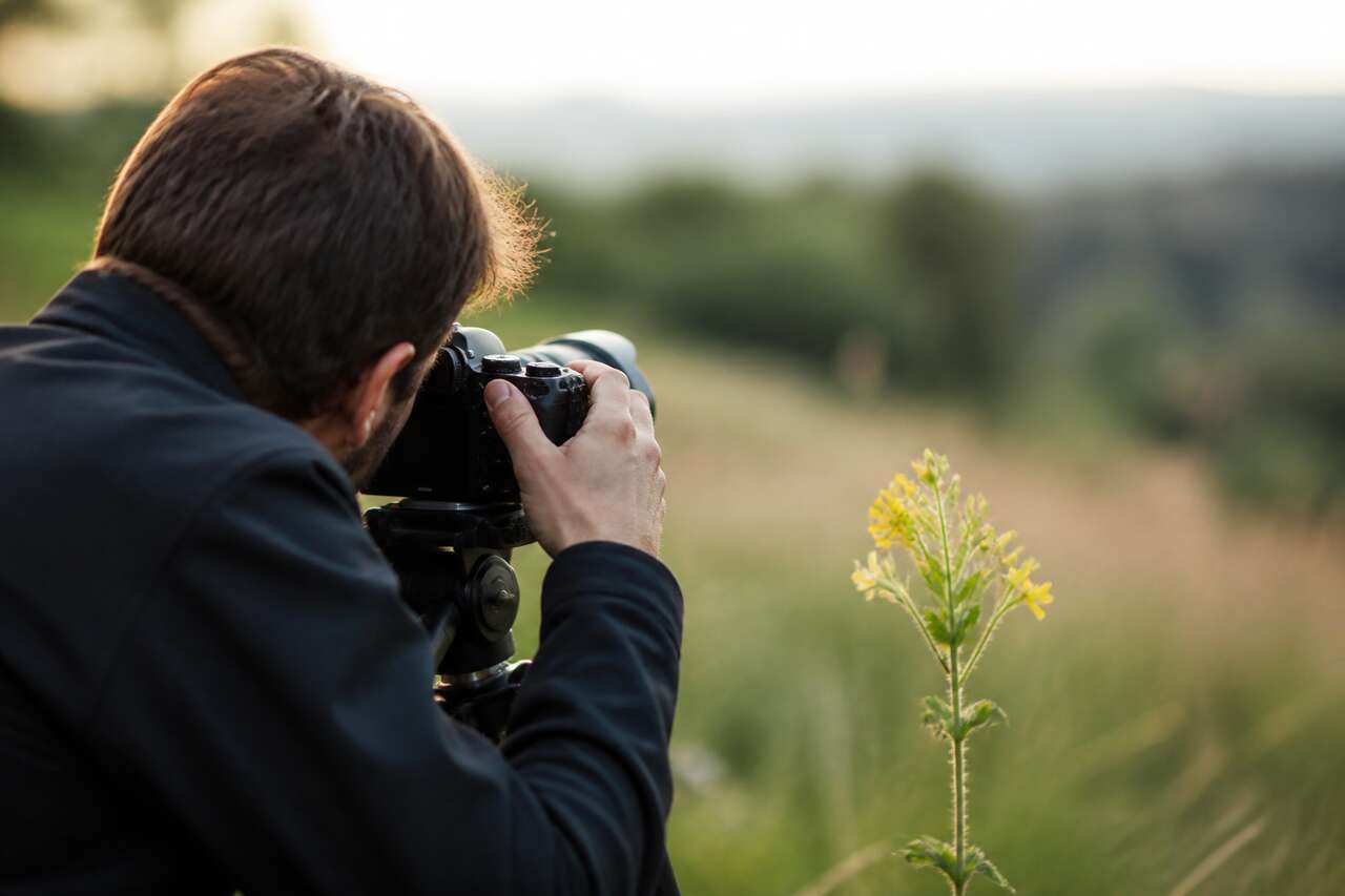 Profondeur de champ et bokeh : isoler le sujet sans se tromper Profondeur de champ et bokeh : isoler le sujet sans se tromper