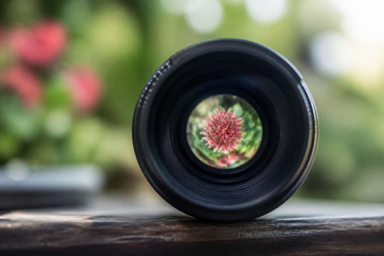 Profondeur de champ : d&eacute;finition et r&ocirc;le dans la lecture d&rsquo;une image