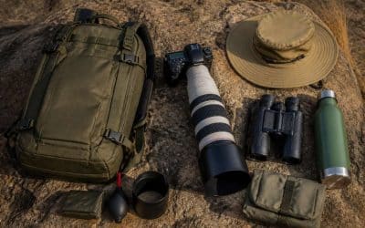 Quel matériel emporter pour un safari photo