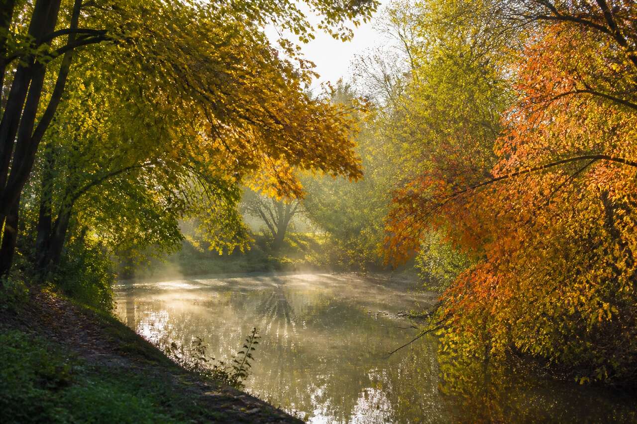 Exploiter la lumière d’automne: brume, contre-jour et ciel couvert Exploiter la lumière d’automne: brume, contre-jour et ciel couvert