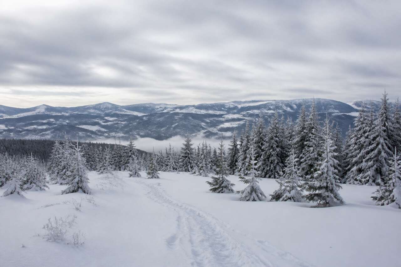 Exposer correctement la neige: du gris au blanc, sans cramer